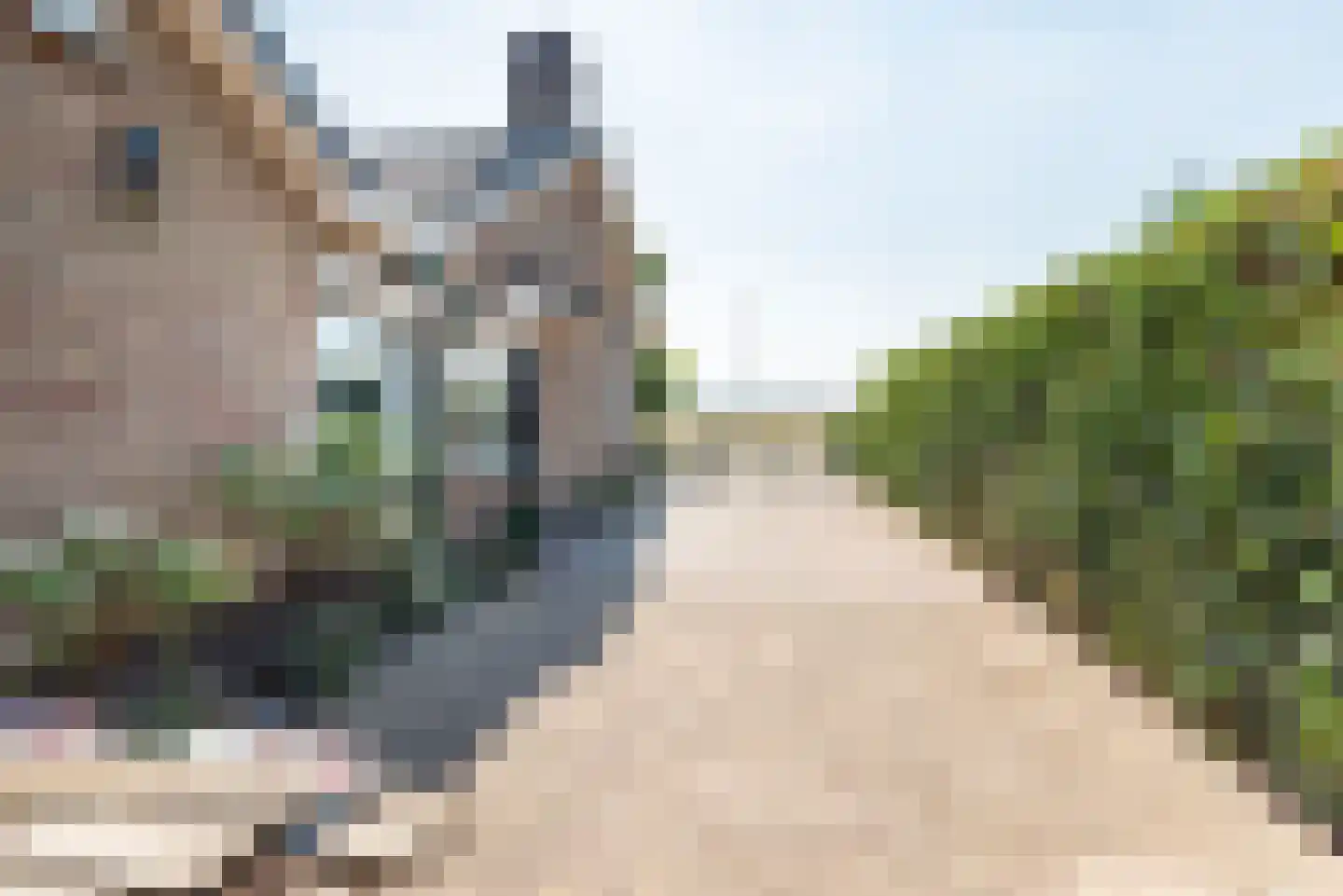 Berghseweg 33 Varsselder thumbnail 49