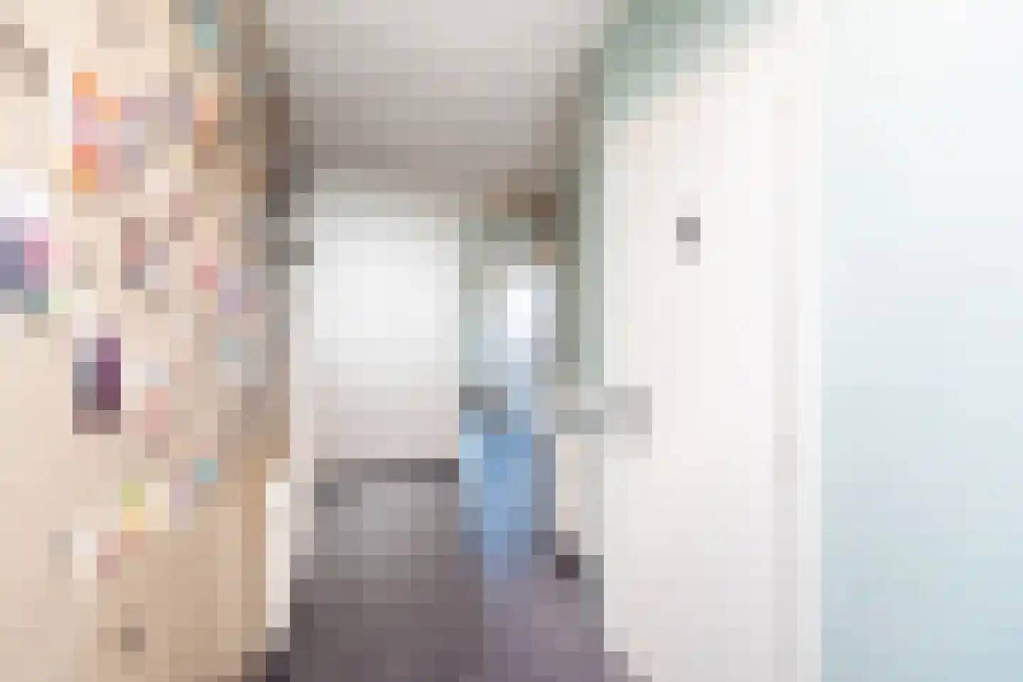 Berghseweg 33 Varsselder thumbnail 9