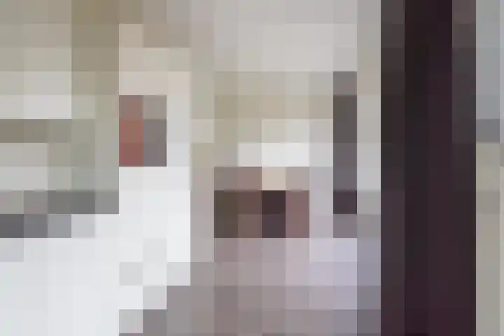 Berghseweg 7 K Varsselder thumbnail 18