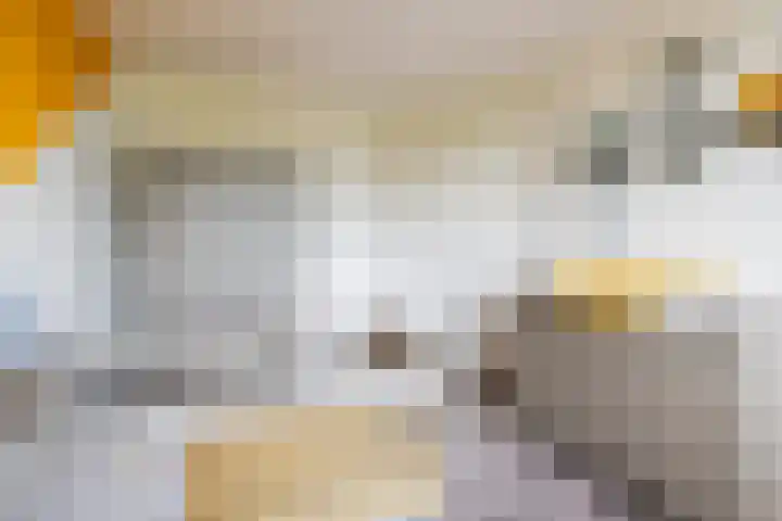 Berghseweg 7 K Varsselder thumbnail 28