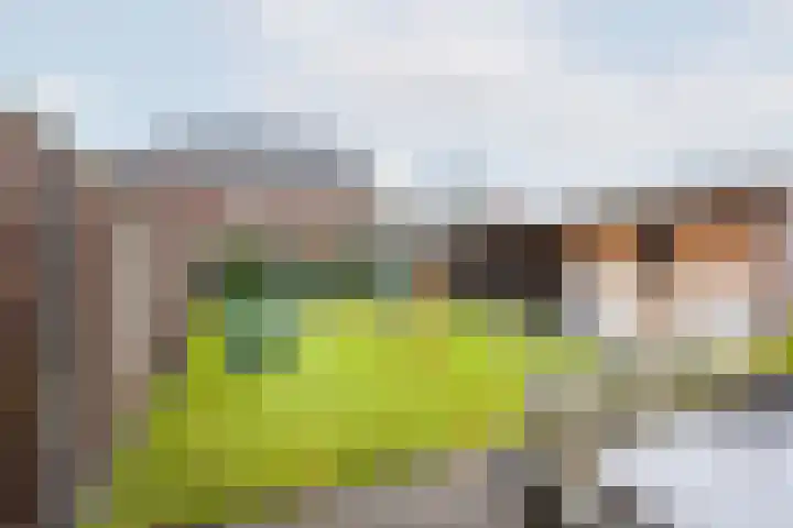 Berghseweg 7 K Varsselder thumbnail 4