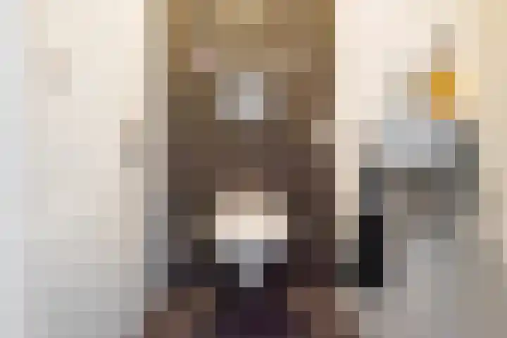 Berghseweg 7 K Varsselder thumbnail 8