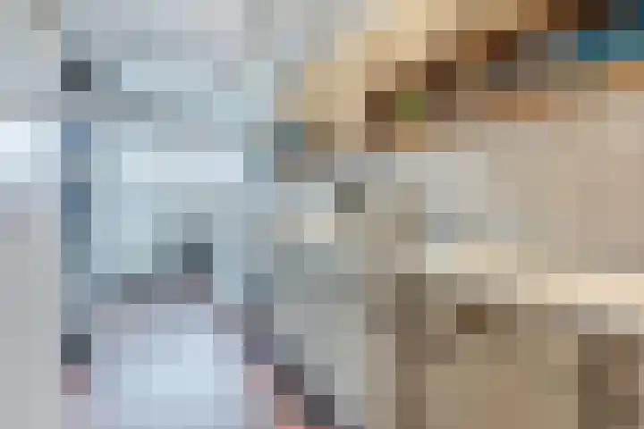 Berghuizen 17 Ruinerwold thumbnail 13