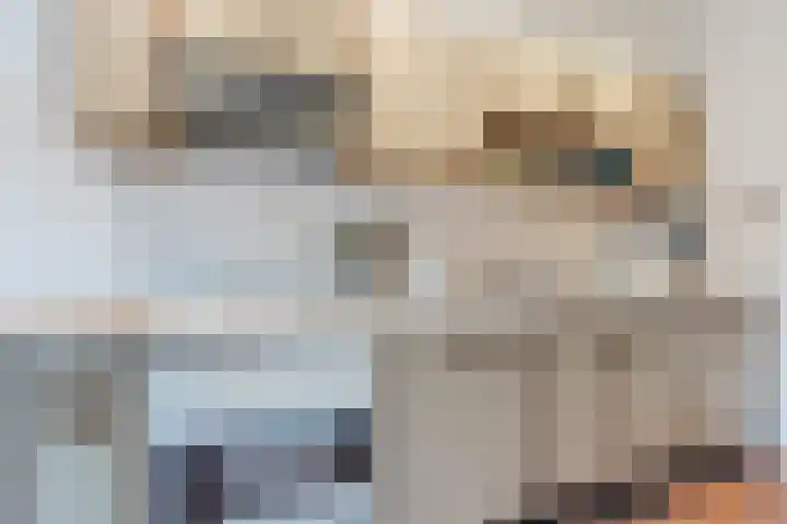 Berghuizen 17 Ruinerwold thumbnail 14