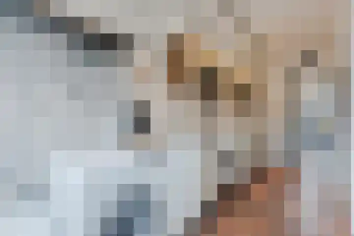 Berghuizen 17 Ruinerwold thumbnail 15