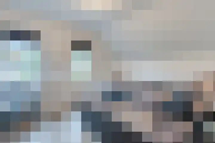 Berghuizen 17 Ruinerwold thumbnail 18