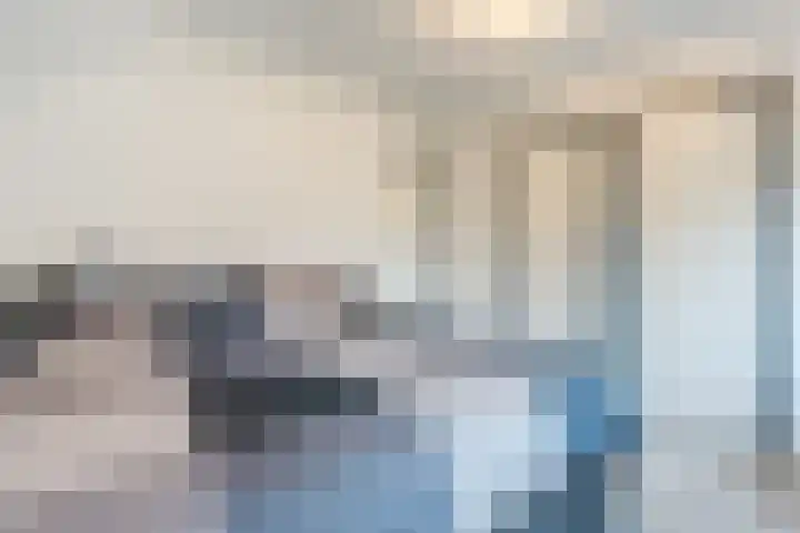 Berghuizen 17 Ruinerwold thumbnail 19