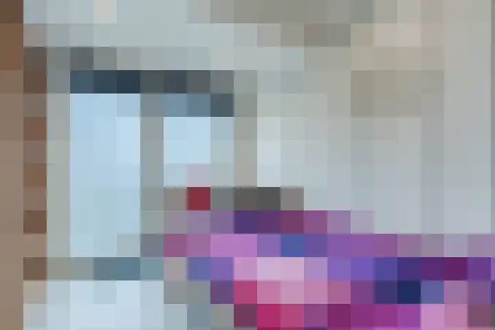 Berghuizen 17 Ruinerwold thumbnail 20