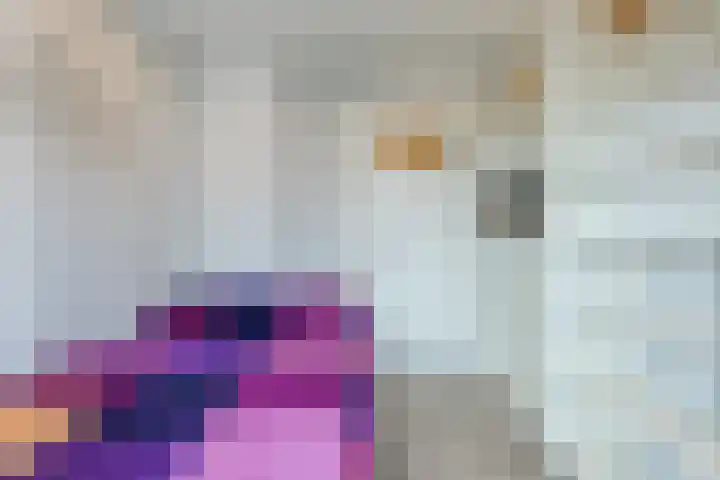 Berghuizen 17 Ruinerwold thumbnail 21