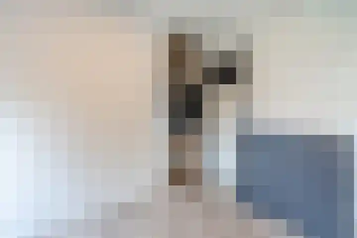 Berghuizen 17 Ruinerwold thumbnail 22