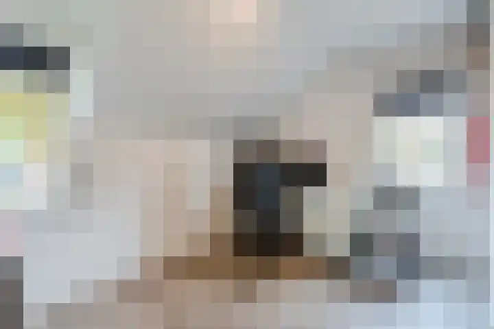 Berghuizen 17 Ruinerwold thumbnail 23
