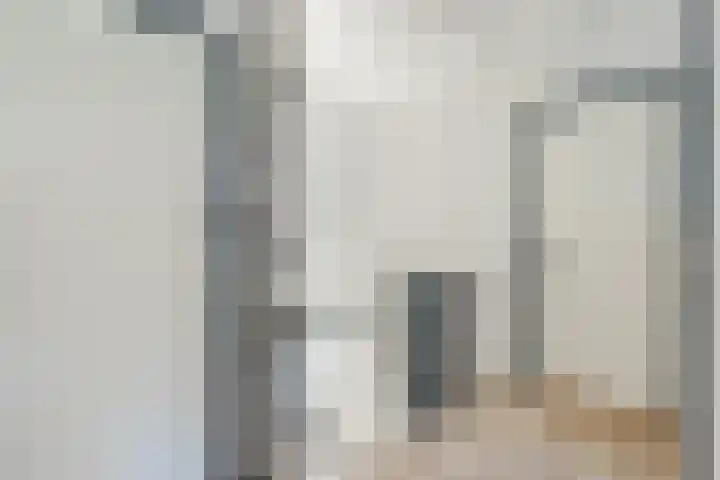 Berghuizen 17 Ruinerwold thumbnail 24