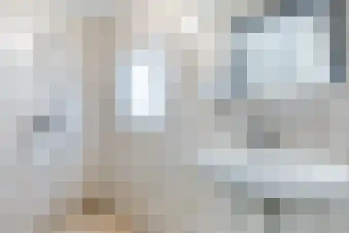 Berghuizen 17 Ruinerwold thumbnail 25
