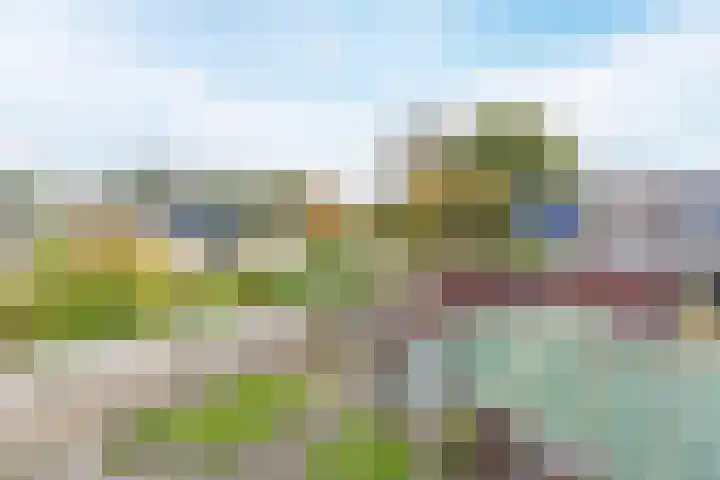 Berghuizen 17 Ruinerwold thumbnail 26