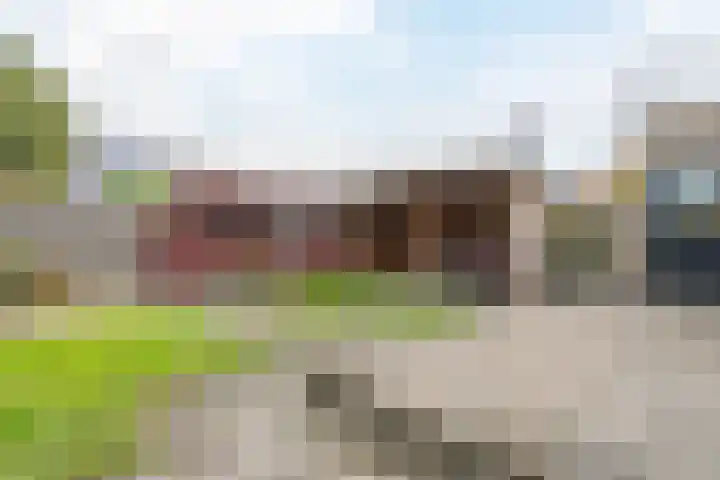 Berghuizen 17 Ruinerwold thumbnail 30