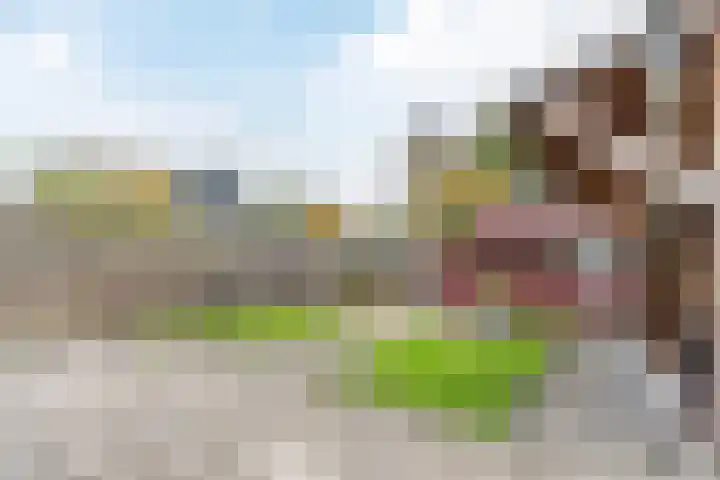 Berghuizen 17 Ruinerwold thumbnail 31