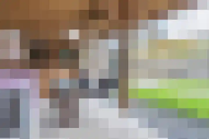 Berghuizen 17 Ruinerwold thumbnail 33
