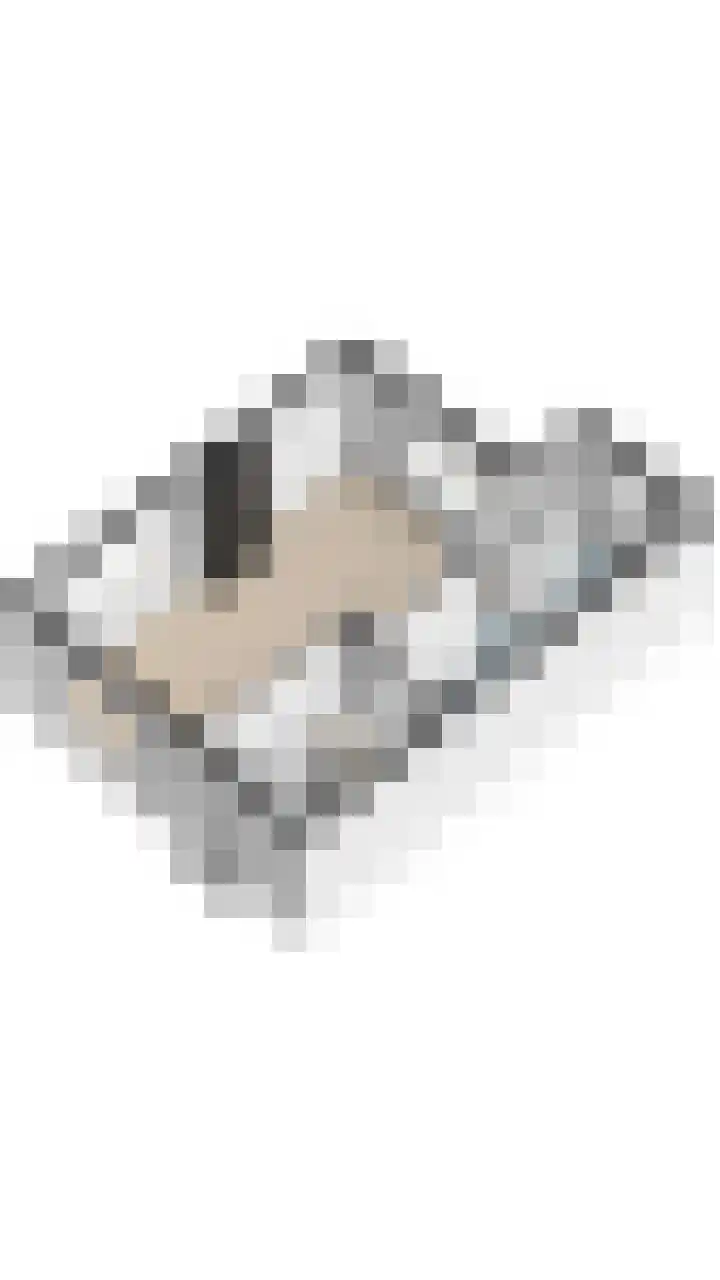 Berghuizen 17 Ruinerwold thumbnail 38
