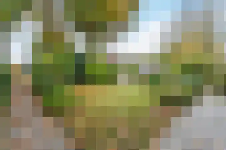 Berghuizen 17 Ruinerwold thumbnail 4