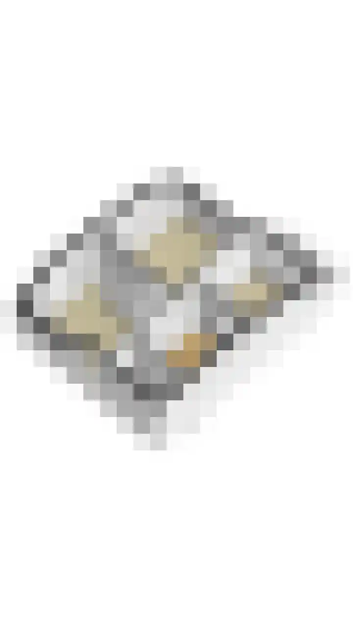 Berghuizen 17 Ruinerwold thumbnail 40