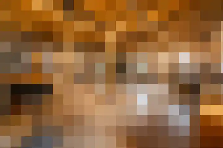 Berghuizen 40 Maasbommel thumbnail 14