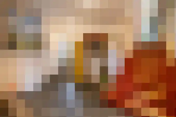 Berghuizen 40 Maasbommel thumbnail 15