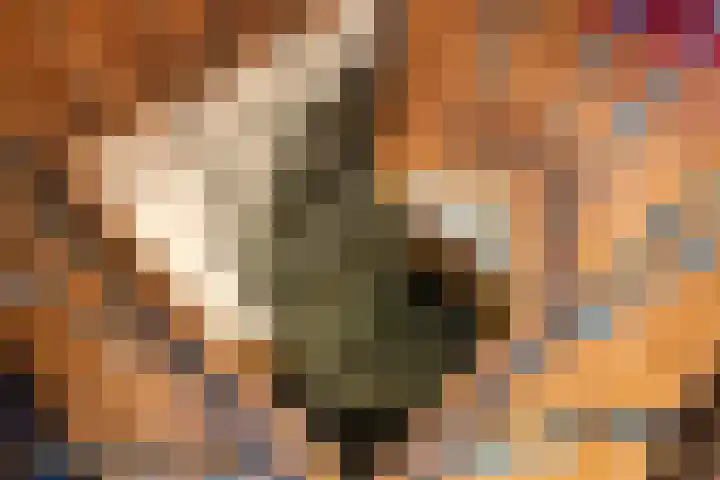 Berghuizen 40 Maasbommel thumbnail 29
