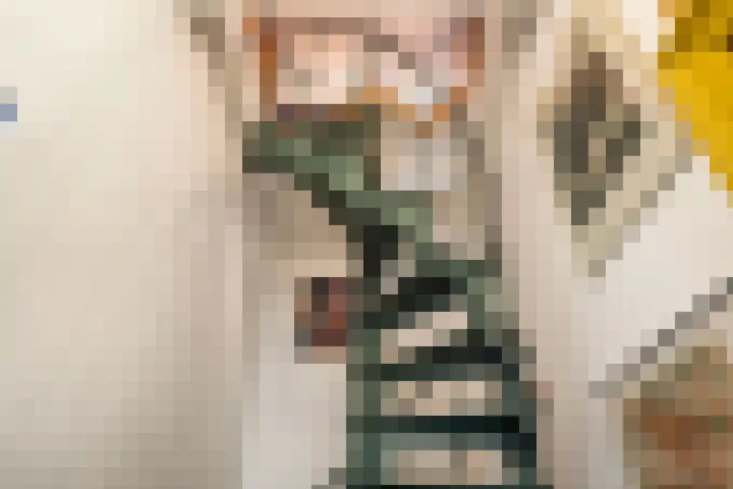 Berghuizen 40 Maasbommel thumbnail 30