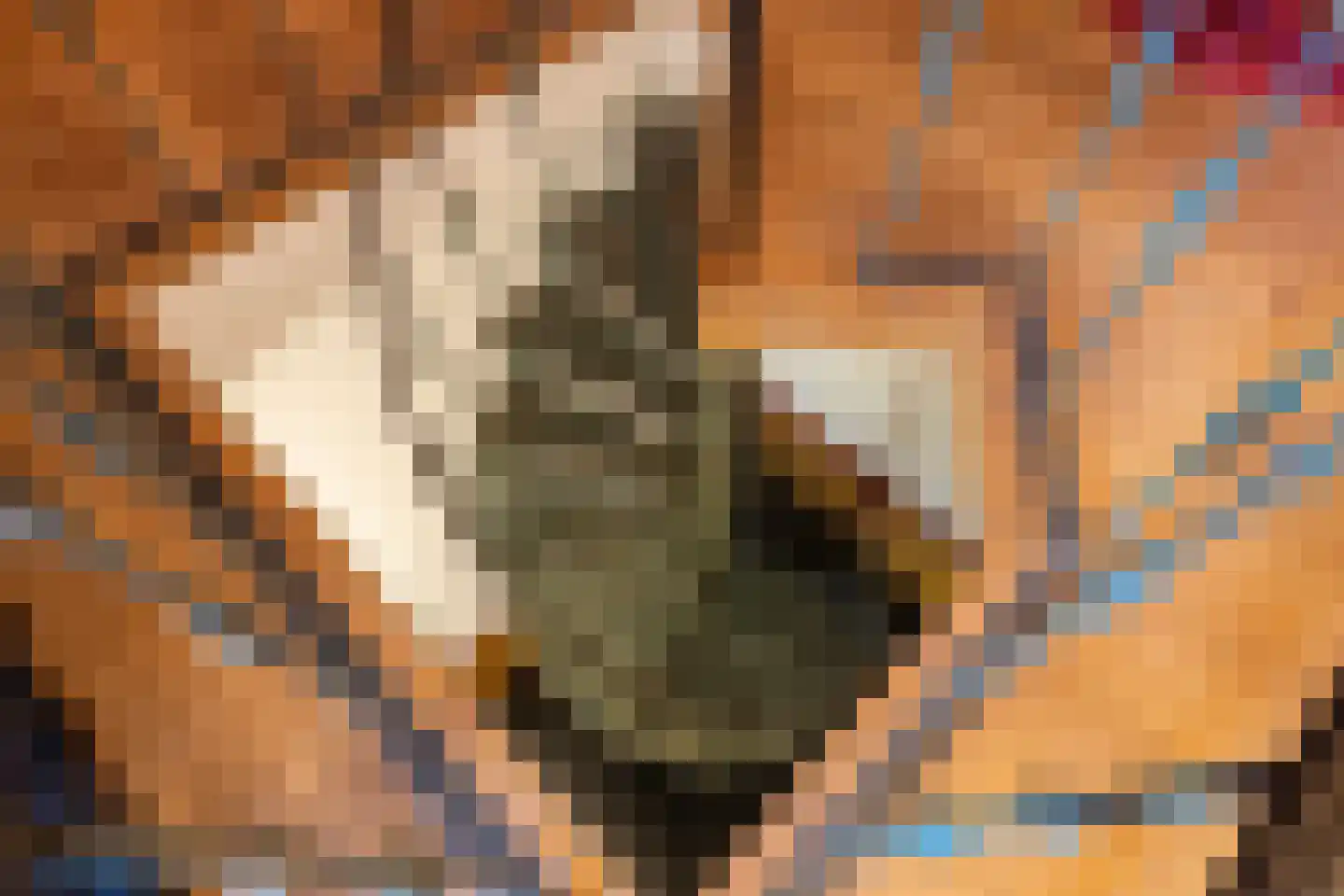 Berghuizen 40 Maasbommel thumbnail 31