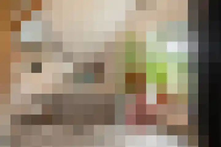 Berghuizen 40 Maasbommel thumbnail 35