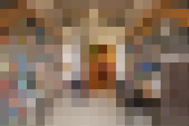 Berghuizen 40 Maasbommel thumbnail 38