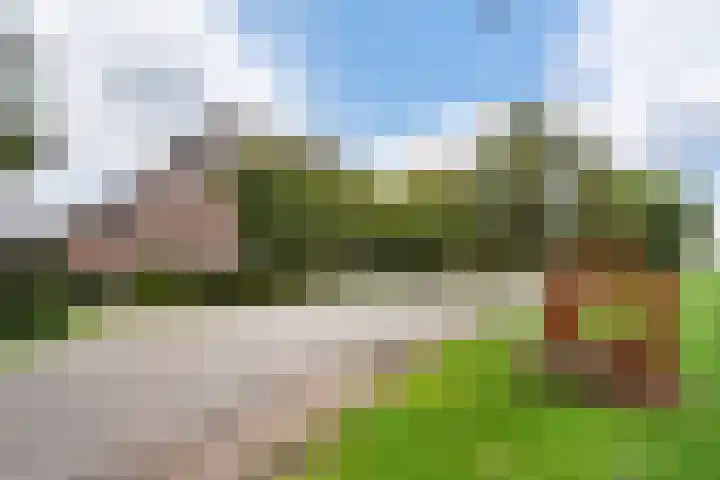 Berghuizen 40 Maasbommel thumbnail 4