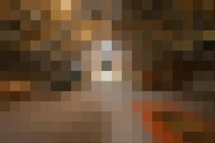 Berghuizen 40 Maasbommel thumbnail 41