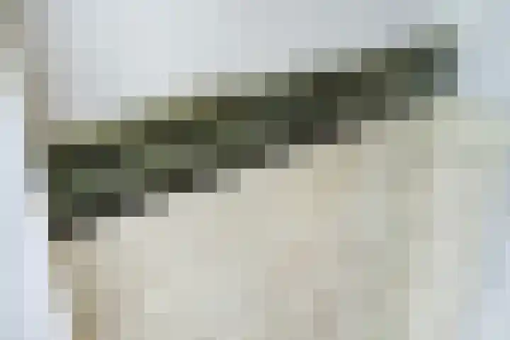 Berghuizen 40 Maasbommel thumbnail 43