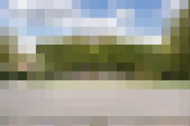 Berghuizen 40 Maasbommel thumbnail 44