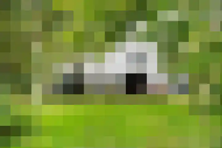 Berghuizen 40 Maasbommel thumbnail 45