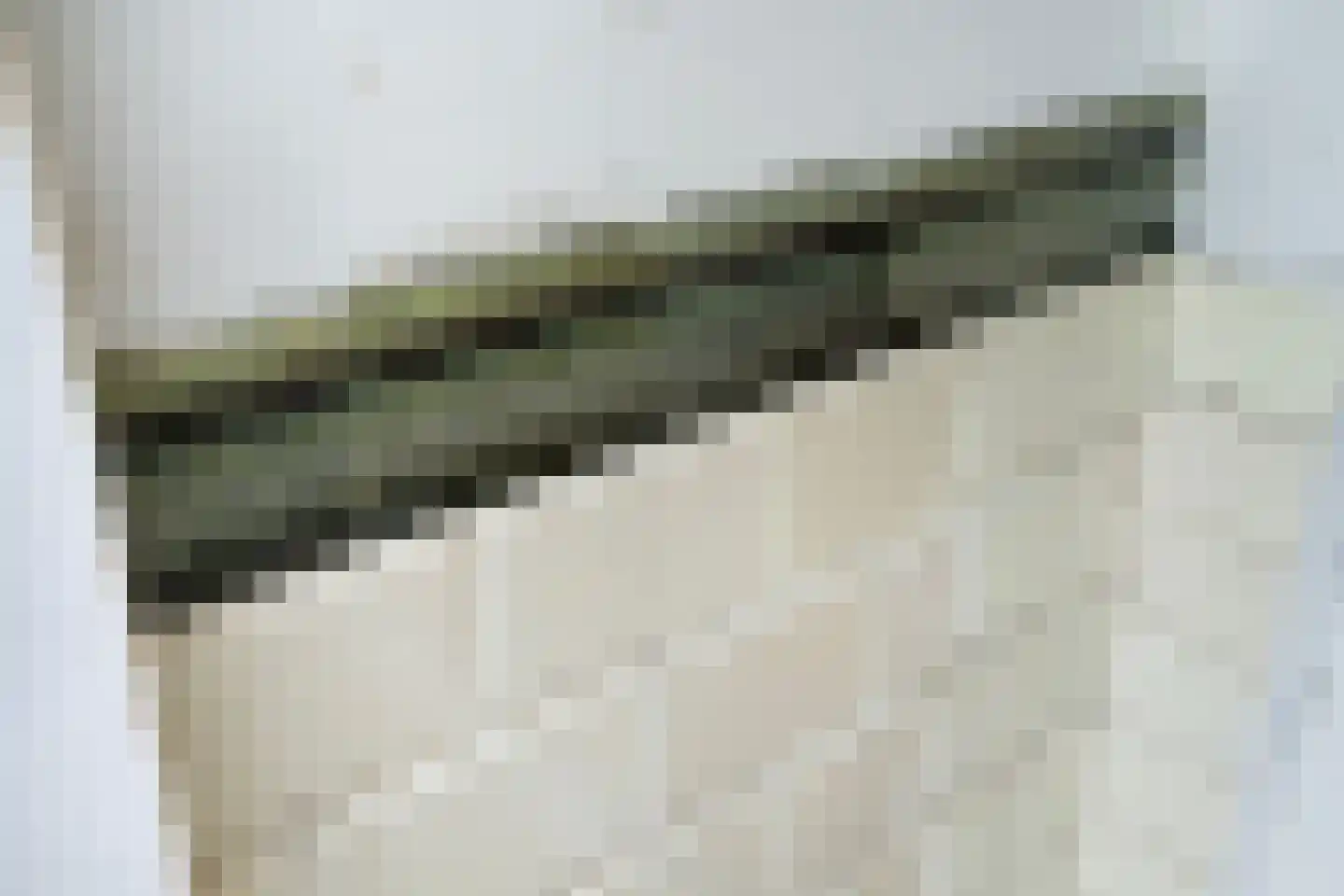 Berghuizen 40 Maasbommel thumbnail 45