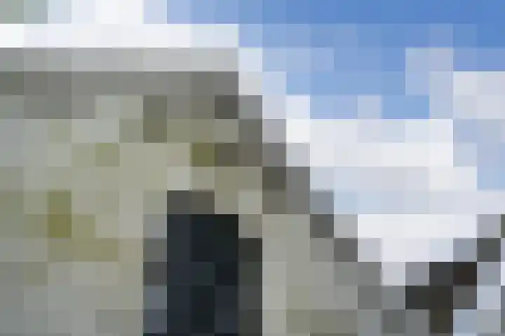 Berghuizen 40 Maasbommel thumbnail 46