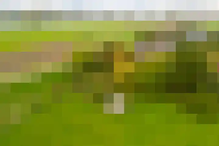 Berghuizen 40 Maasbommel thumbnail 47