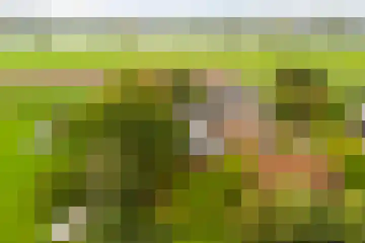 Berghuizen 40 Maasbommel thumbnail 48