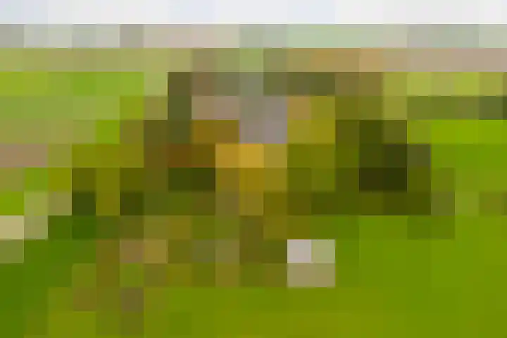 Berghuizen 40 Maasbommel thumbnail 49