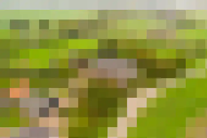 Berghuizen 40 Maasbommel thumbnail 5