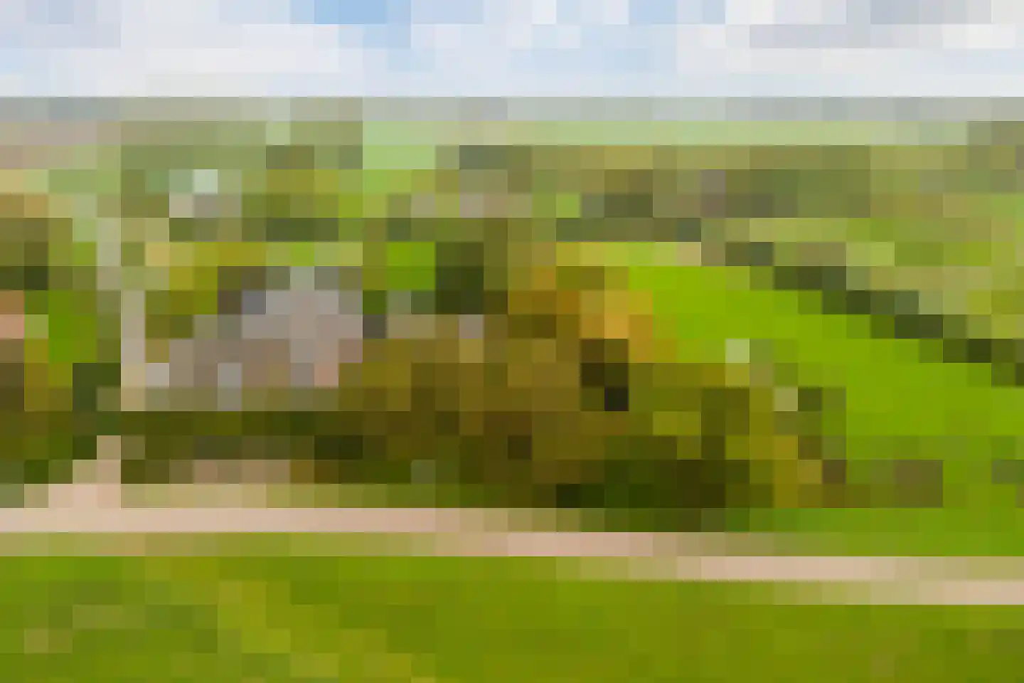 Berghuizen 40 Maasbommel thumbnail 5