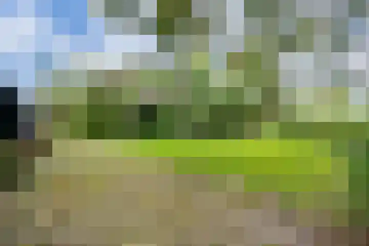Berghuizen 40 Maasbommel thumbnail 50