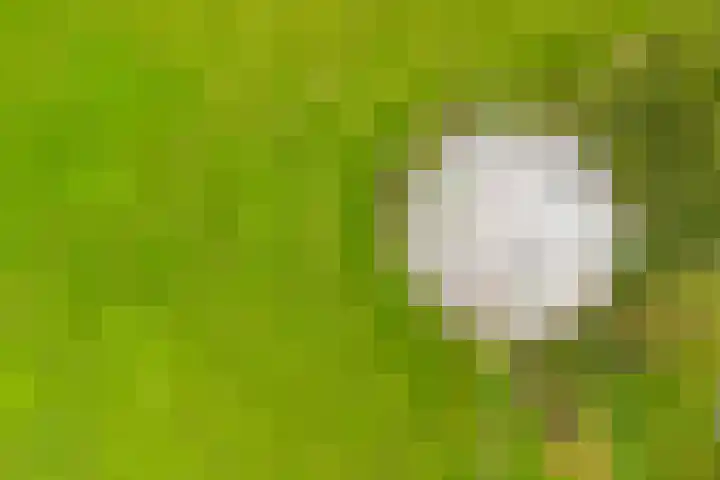 Berghuizen 40 Maasbommel thumbnail 51
