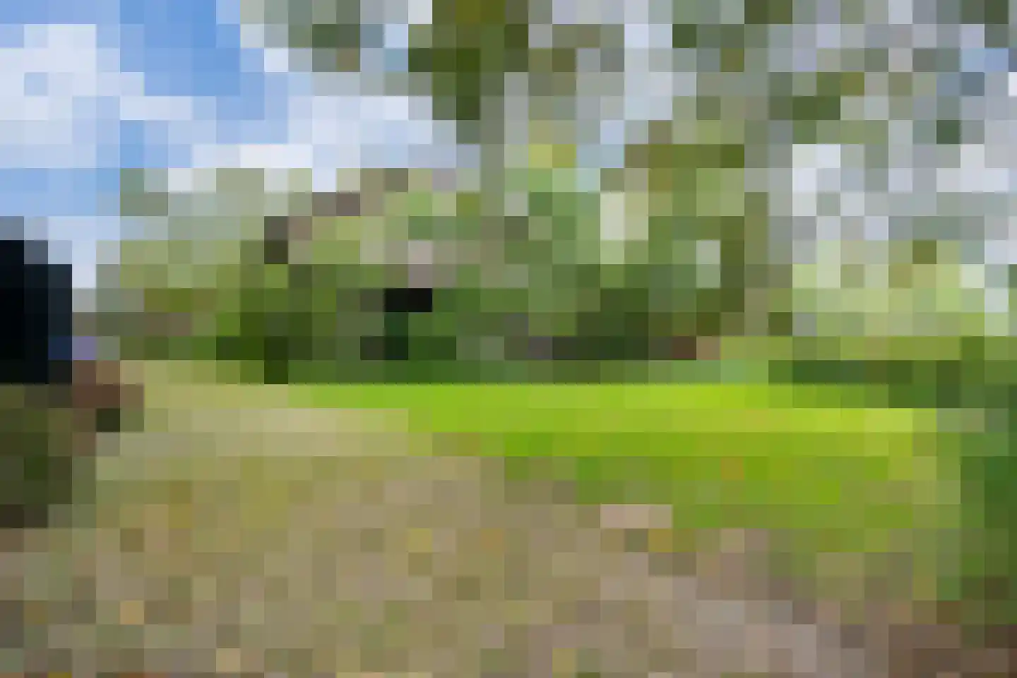 Berghuizen 40 Maasbommel thumbnail 51