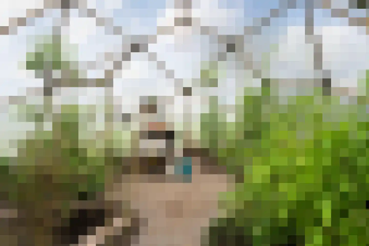 Berghuizen 40 Maasbommel thumbnail 53