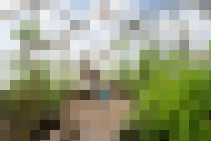 Berghuizen 40 Maasbommel thumbnail 53