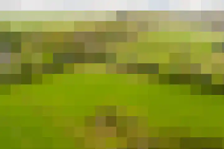 Berghuizen 40 Maasbommel thumbnail 54