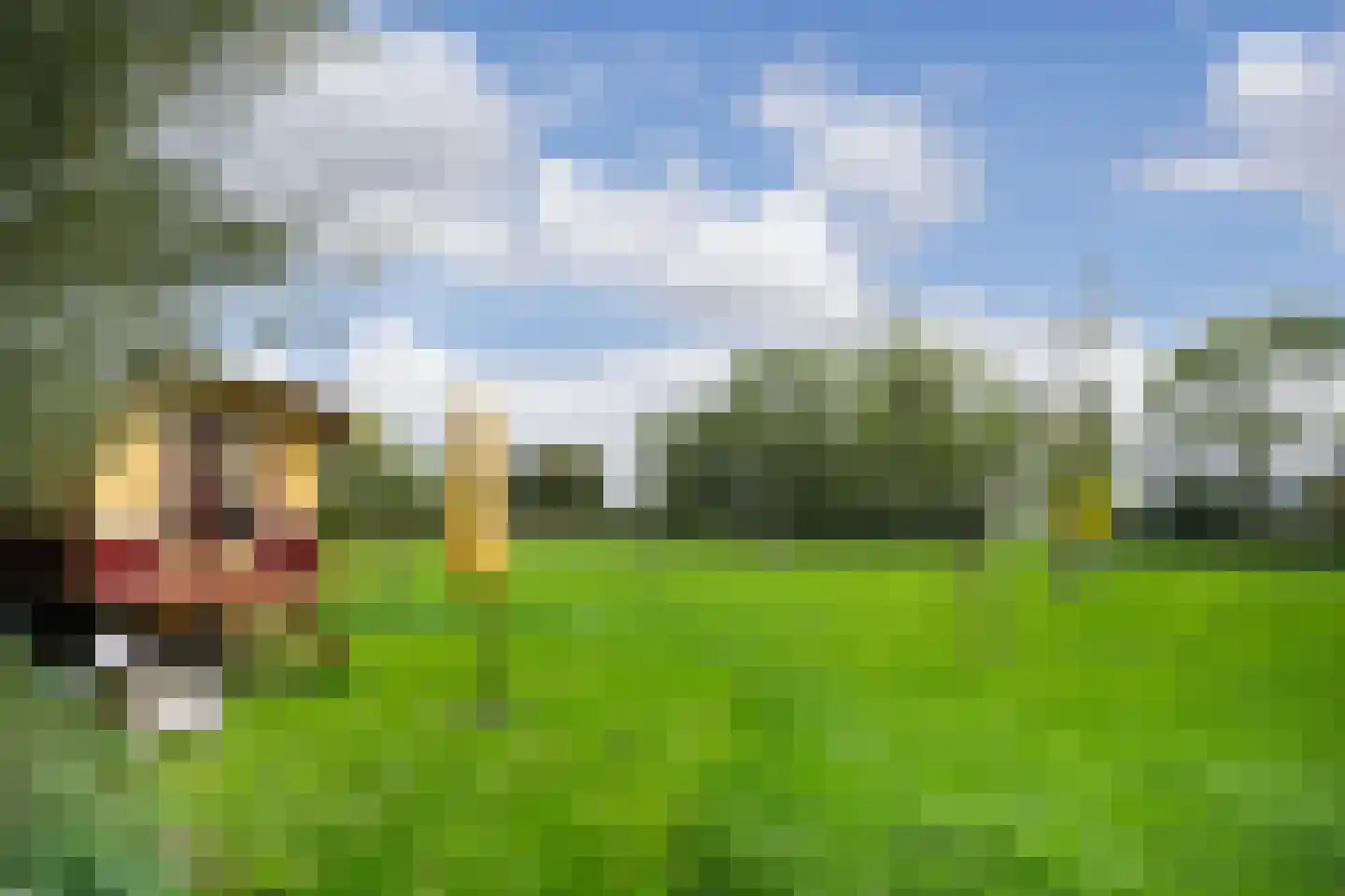 Berghuizen 40 Maasbommel thumbnail 55